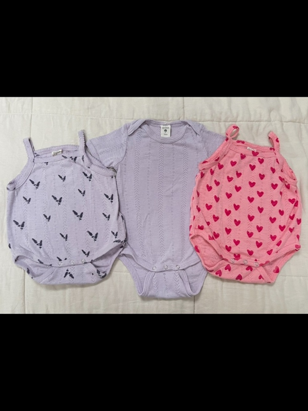 kate quinn bundle